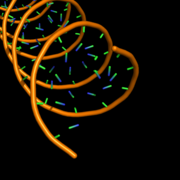 cartoon_ring_finder,5