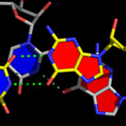 Example Nuccyl IV