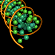 cartoon_ring_mode,4