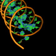 cartoon_ring_mode,1