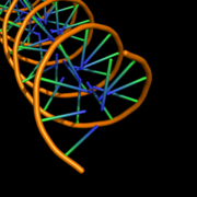 cartoon_ring_mode,0
