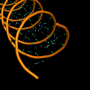 cartoon_ring_mode,5