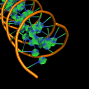 cartoon_ring_finder,2