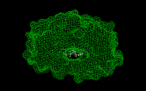 Quickdisplays disp mesh.png