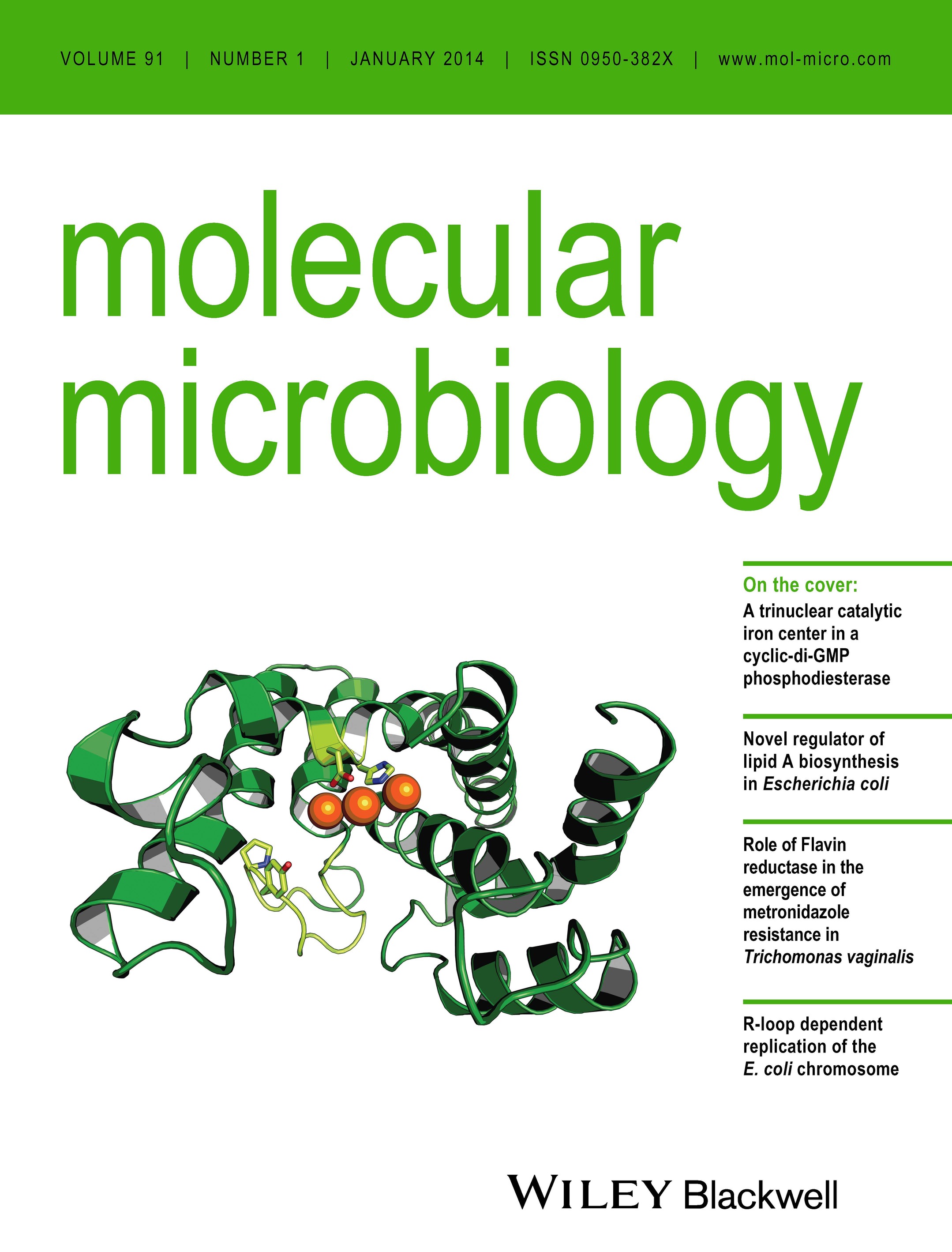 Structure of P. maritima HDGYP domain showing a novel tri-iron catalytic centre Molecular Microbiology, Volume 91, Number 1, January 2014.