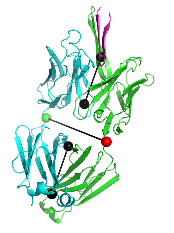 Fab fragment 3ghe shown with draw=1.