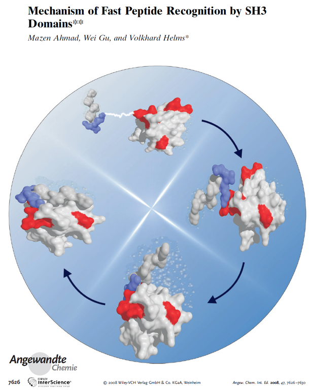 MD simulation of protein-protein binding Pymol generated Movie is avialable inside pdf[[1]] or high quality AVI format[2]