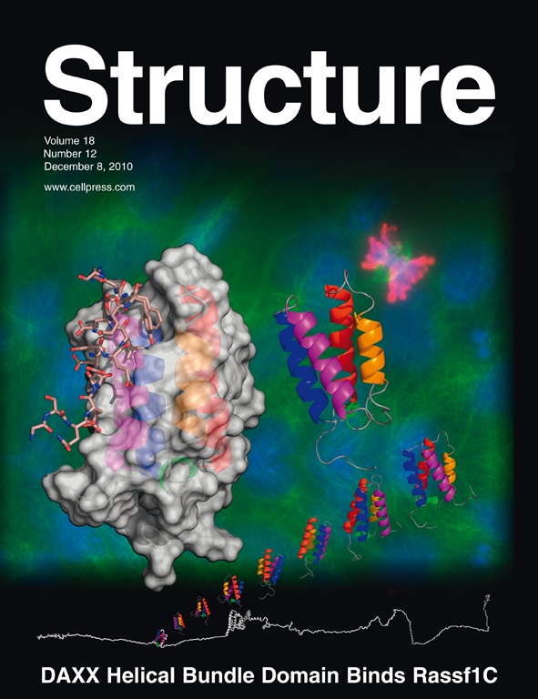 DAXX helical bundle (DHB) and DHB/Rassf1C structures, Structure, December 2010.