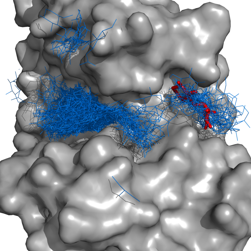 Find the cloud growing from the red sticks. Consider all blue lines for inclusion.