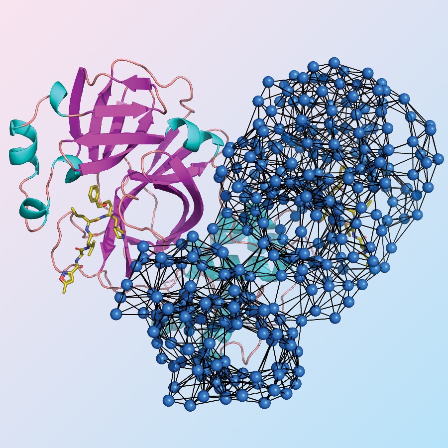 An elastic network model of the SARS-CoV-2 main protease with N3 inhibitor.. J R Soc Interface, Volume 18, Issue 174, 6 Jan 2021.