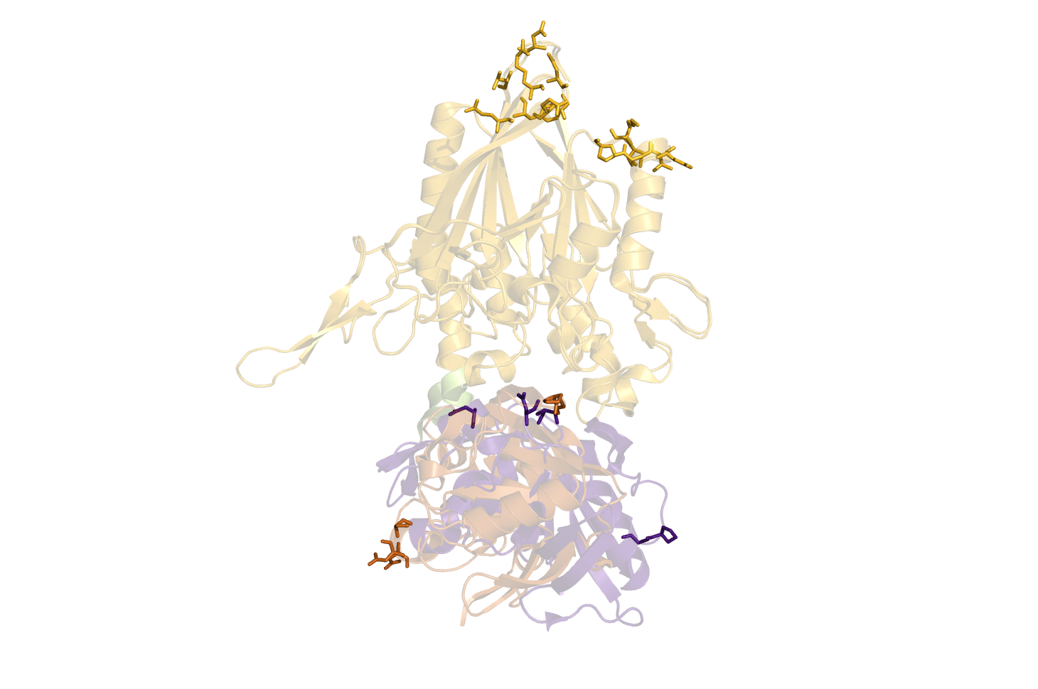 O5NT-C5NT-CA-dist.png