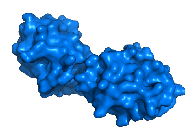 Structure of Cytochrome C (PDB 3cyt) shown in surface representation.