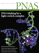 Image of two short stretches of double-stranded DNA linked by a ruthenium 'light-switch complex', October 25, 2011; 108 (43) [[1]]
