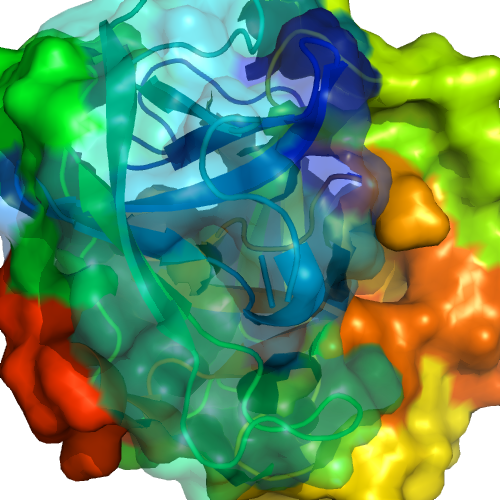 Image showing partial surface transparencies