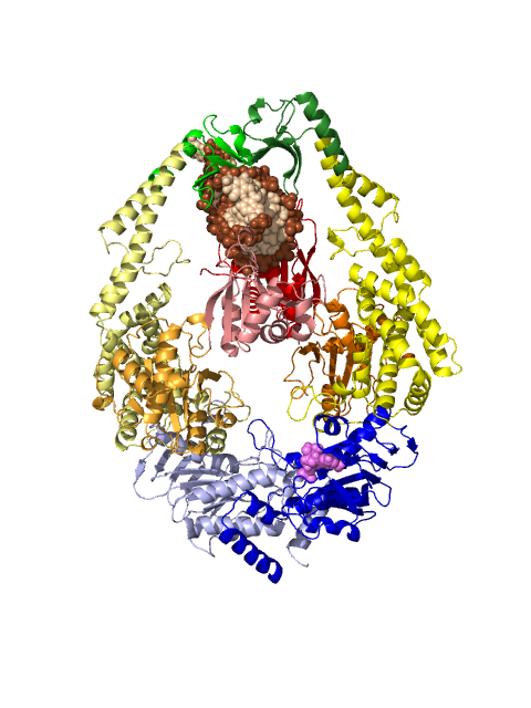 Pymol Ray Tracer: Simply using "ray" command