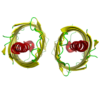 orthoscopic off (perspective on)