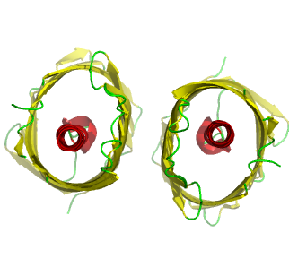 orthoscopic on (perspective off)