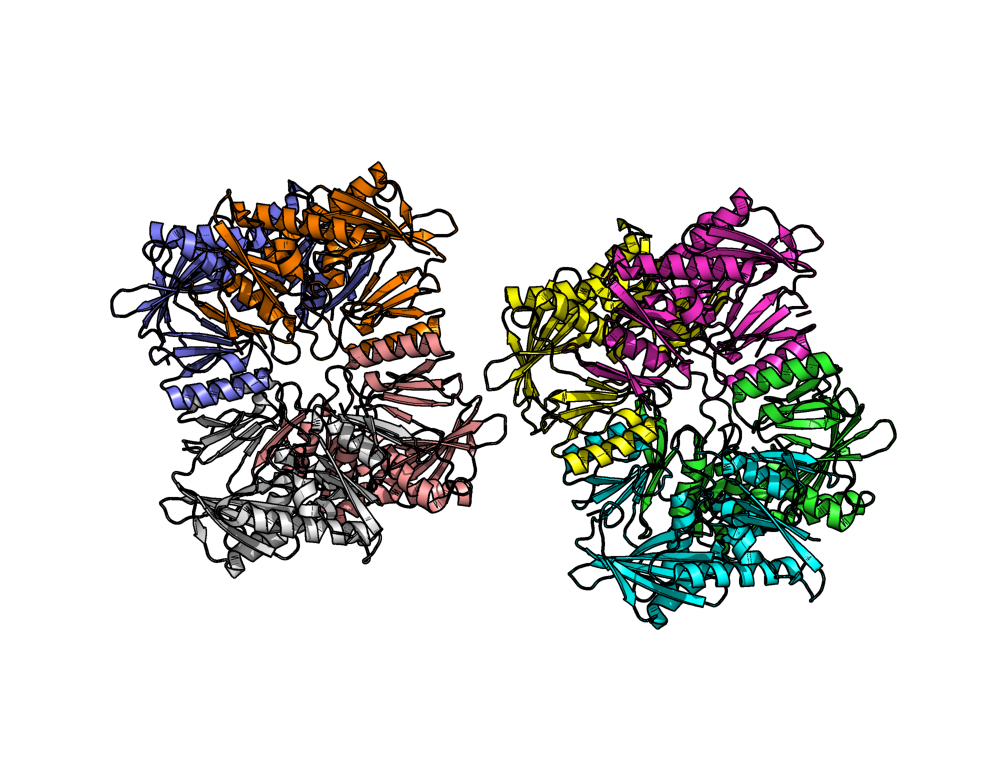 util.cbc command issued. Each chain gets its own color.