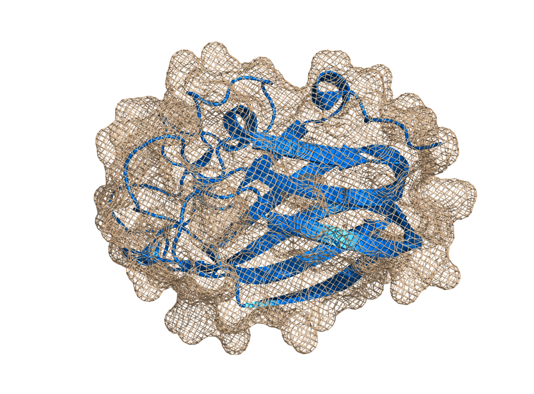 Mesh in ray_trace_mode,0