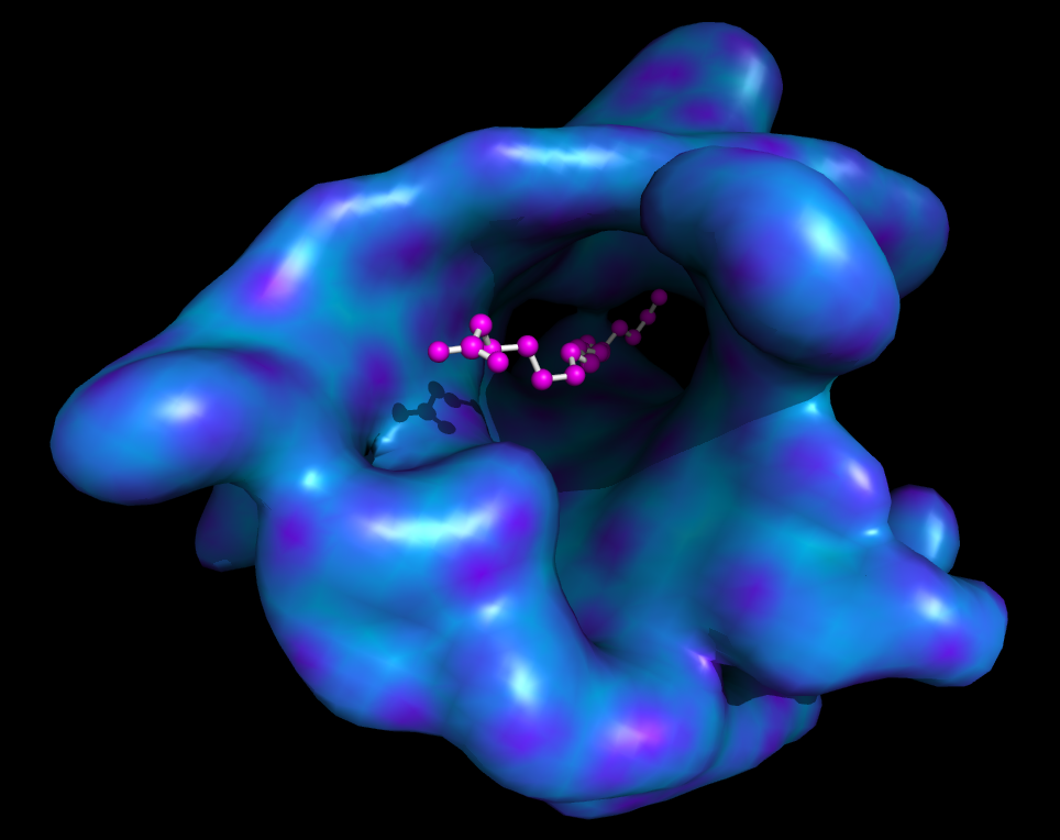 Abs surf.png