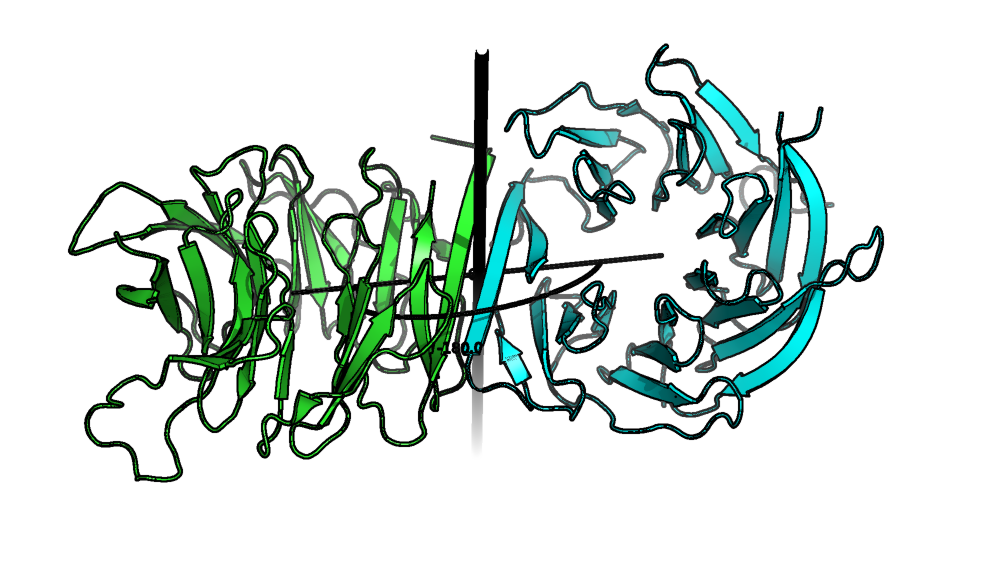 Rotation axis between chains A and B