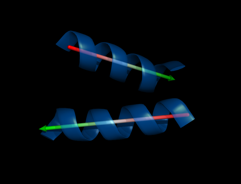 Orientation of two helices, their angle that separates the two is 145.08 degrees as reported by the script