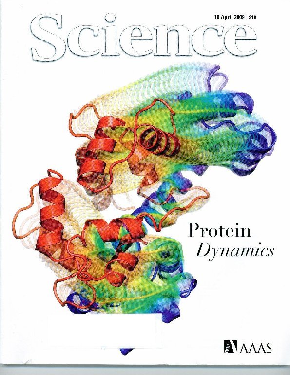 Protein Dynamics