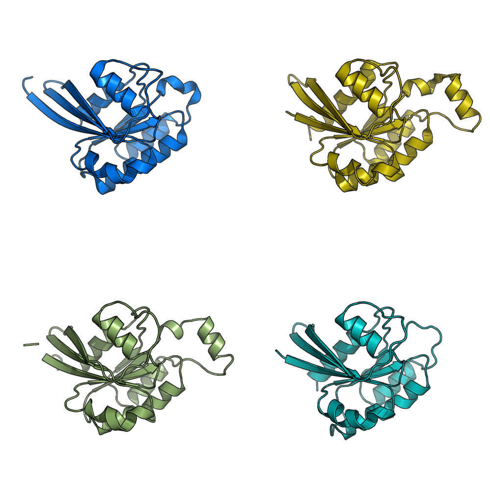 grid_mode on. Each molecule is in its own window.