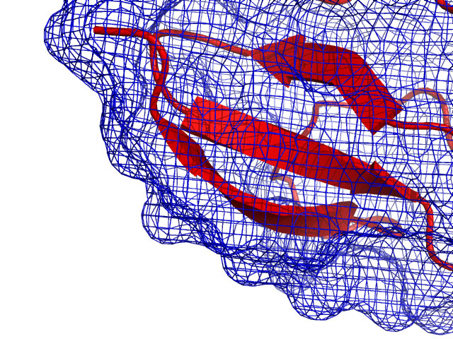 mesh_width 0.5 (default)