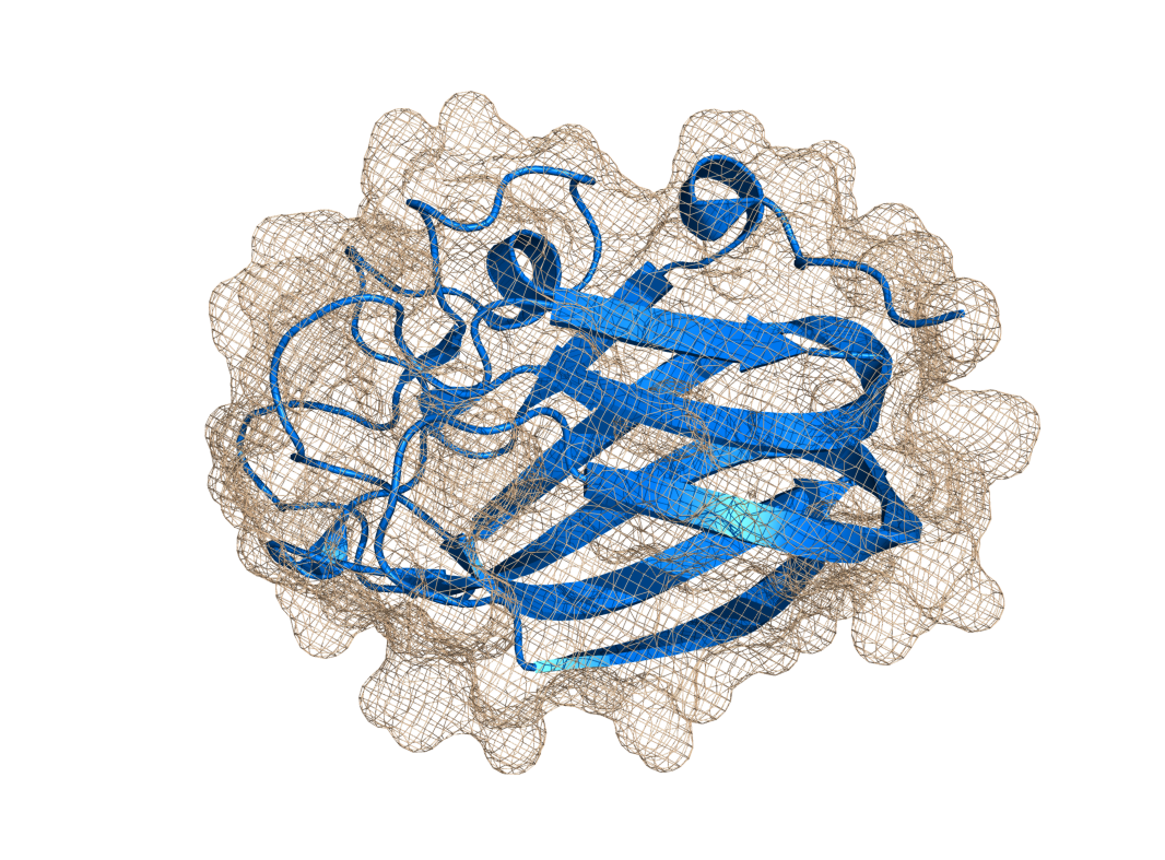 Mesh with width of 0.5, half of normal