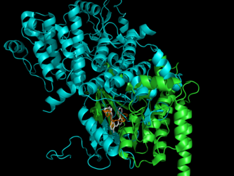Ligand-based alignment of 1XBB and 1OPJ