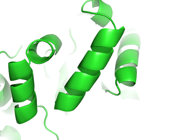 cartoon_oval_length 2