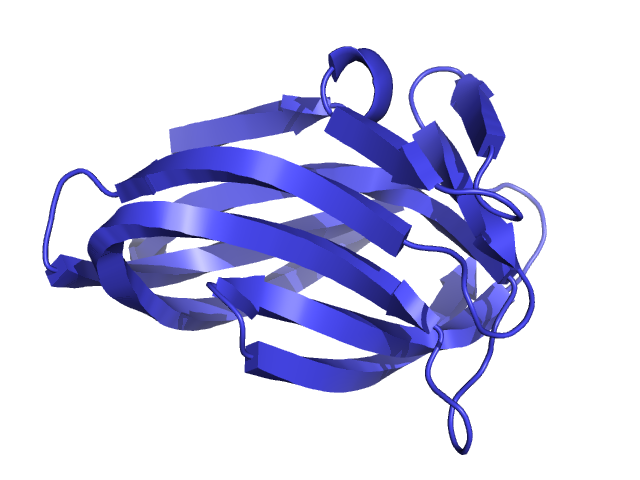 cartoon_rect_width 1.0