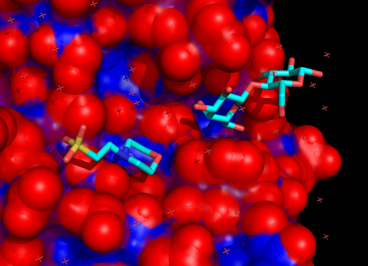 Example coloring of surface residues