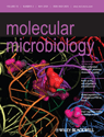 Impact of rRNA methylations on ribosome recycling and fidelity of initiation in Escherichia coli. Molecular Microbiology