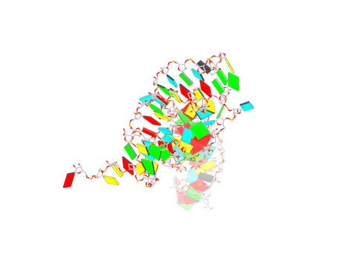 X3dna r3d pymol.png