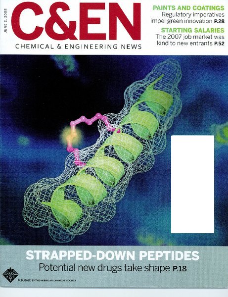 080602cnen.pdf.jpg