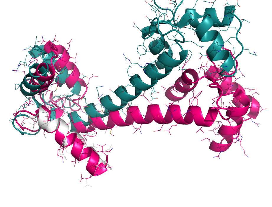 focused alignment on residues 4-20 in 1cll on original atoms from global pairing; notice the white-colored residues are the focus of this alignment