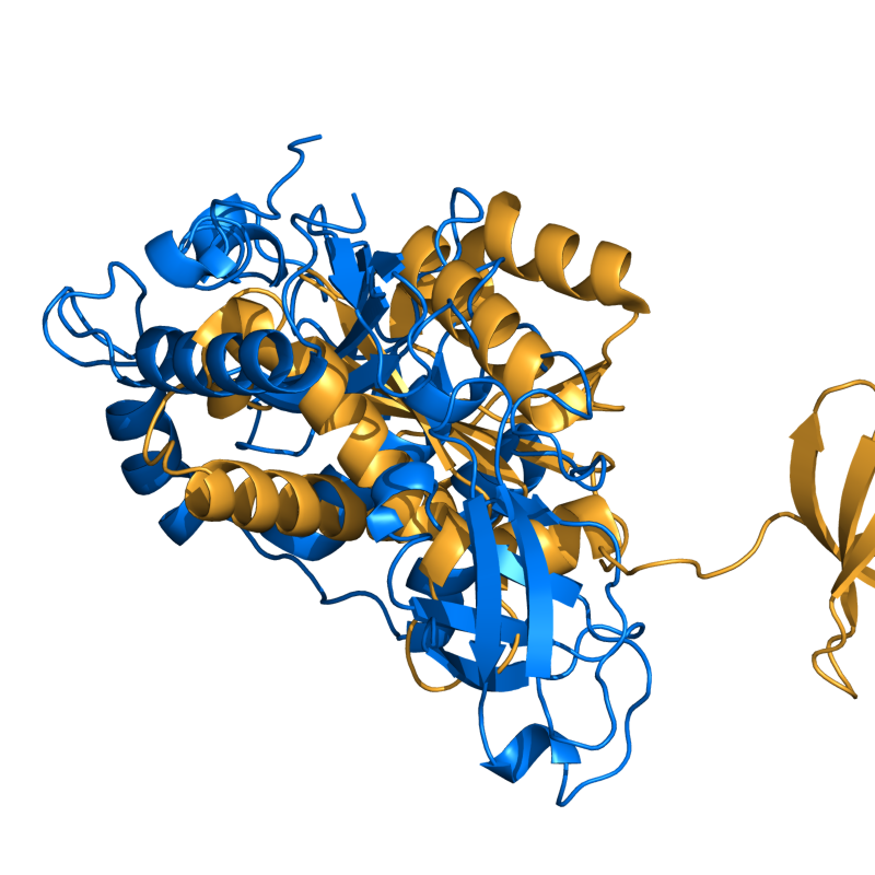 PyMol's results (221 atoms; 15.7 Ang. )