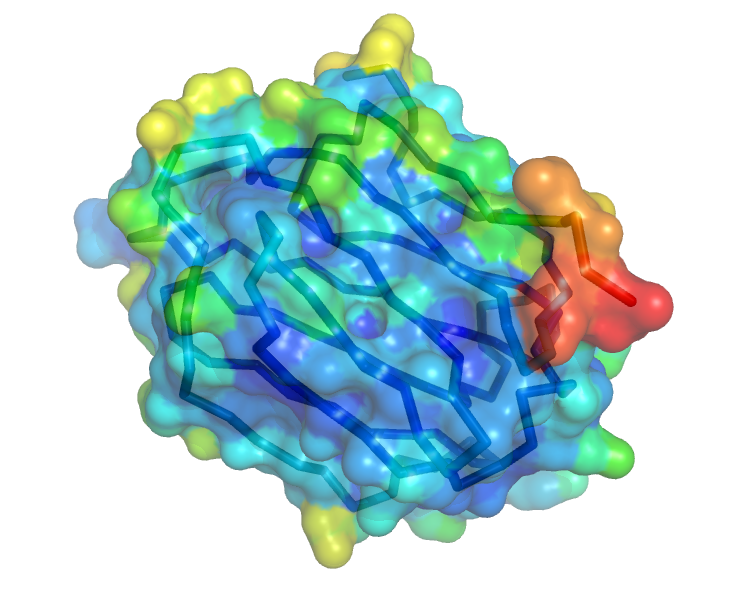ray_opaque_background set to 1. The image from PyMOL is shown over a checkerboard, however because the background is opaque, the checkerboard underneath does not show through.
