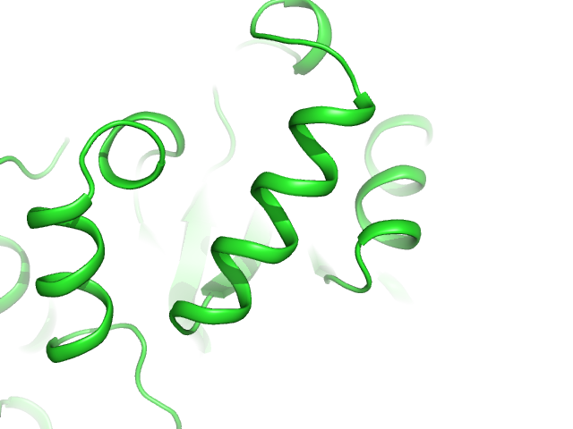 cartoon_oval_length 0.6