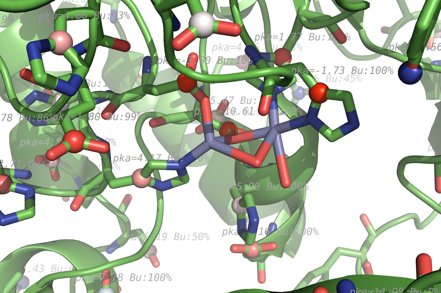 propka used on 1HP1, zoom on ZN ligand metal center.
