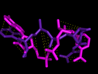 Atom-to-atom mapping of ligands