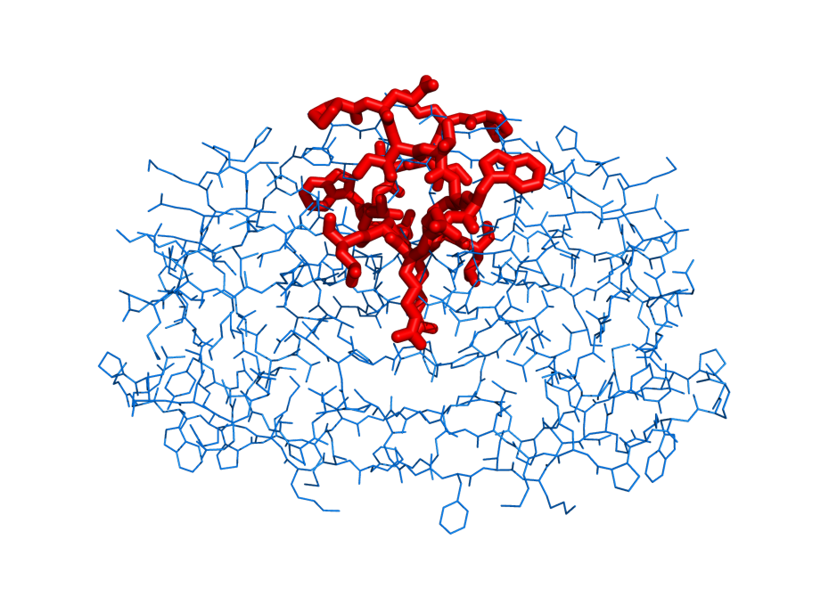 Line width set to 10 on residues 1-10 and then colored those residues red.