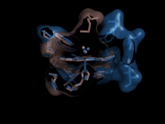 Alignment of 1V07 and 1HBI using heme