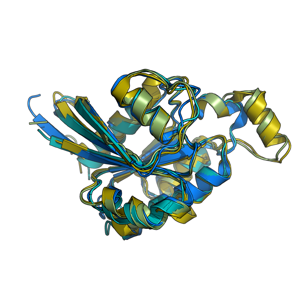 grid_mode off. Four molecules shown loaded and aligned.