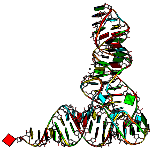 Trna.png