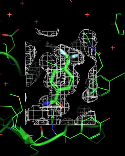 6sps-mesh-ligand.png