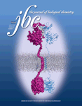 Mycobacterium tuberculosis PknD dimerization JBC, April 13 2007 Cover, Vol. 282, Issue 15.