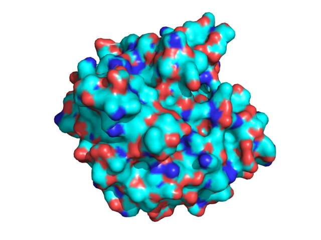 Example of a shown surface.